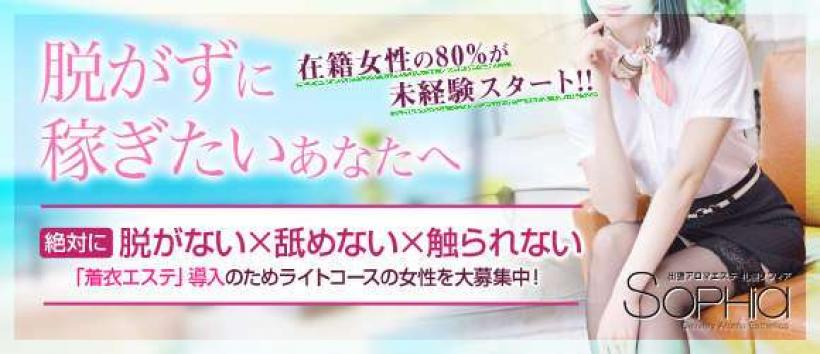 札幌ソフィアの求人