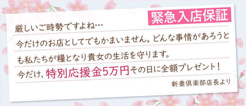 新妻倶楽部の求人