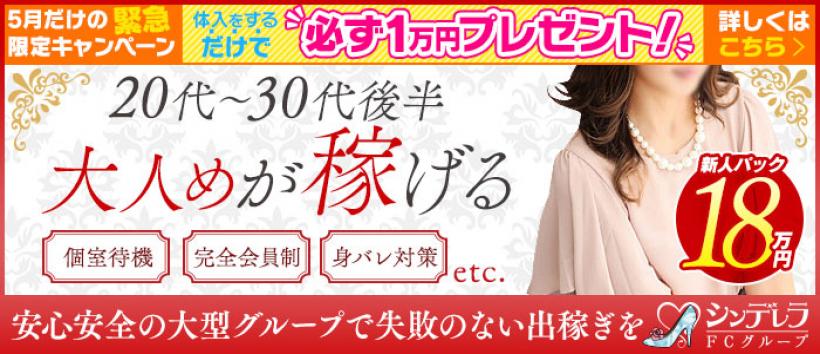 大人めシンデレラ 新横浜店の求人