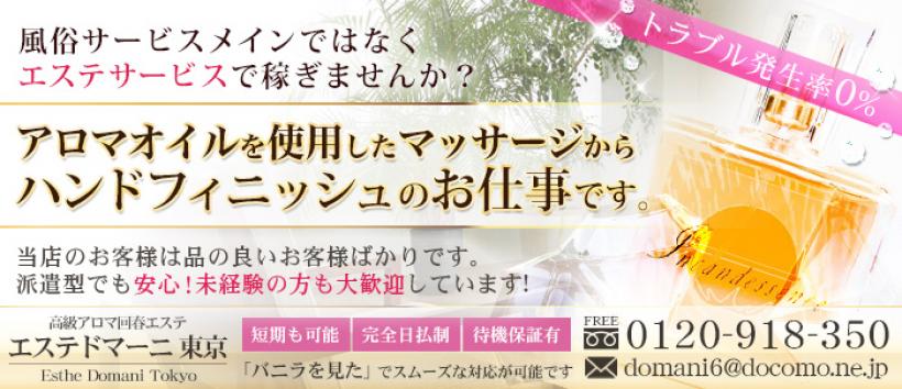 エステ ドマーニの求人