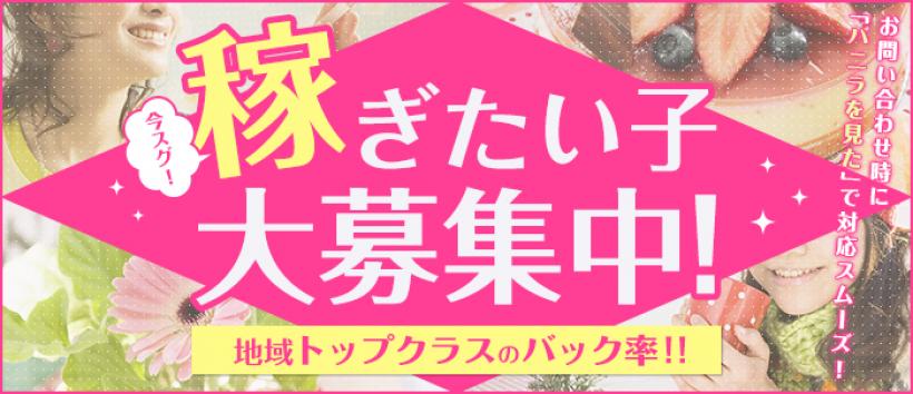 ラブ ニュースの求人
