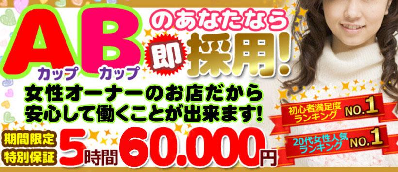 Aカップ微乳女学園の求人