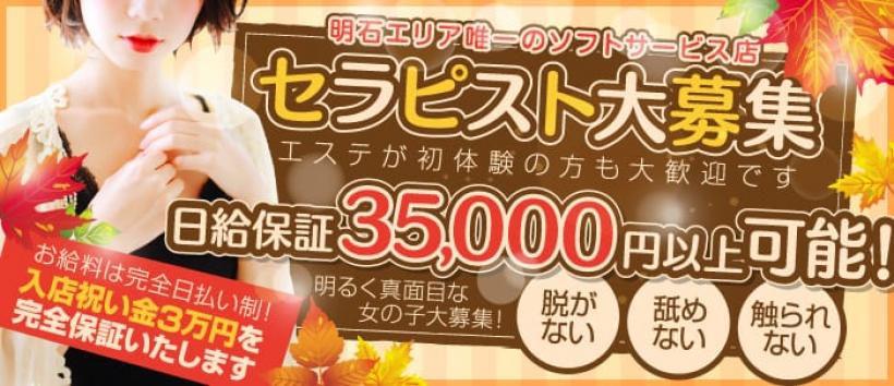 ANELAの求人