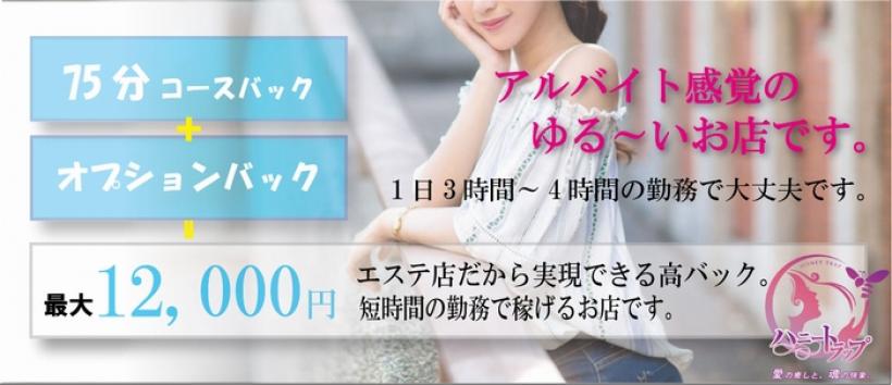 ハニートラップの求人