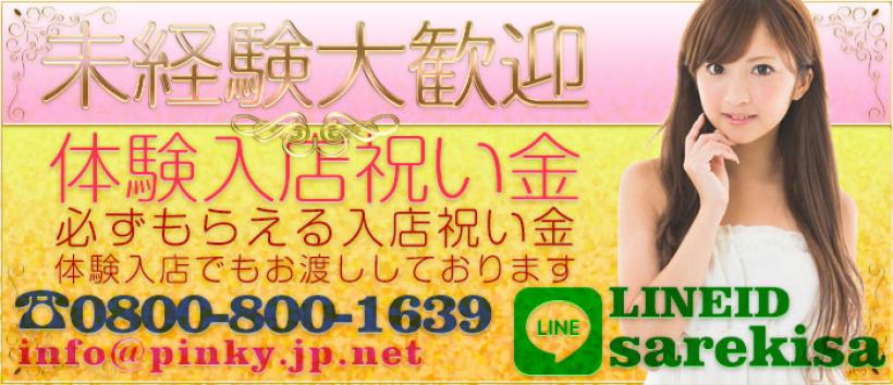 脱がされたい人妻 木更津店の求人