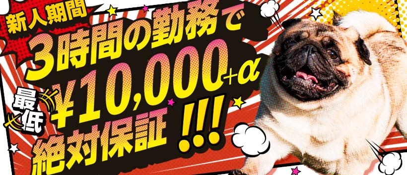 GHRの求人