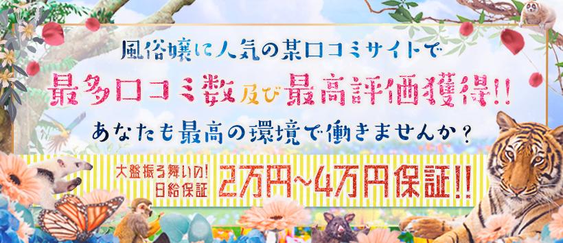 アニマルパラダイスの求人