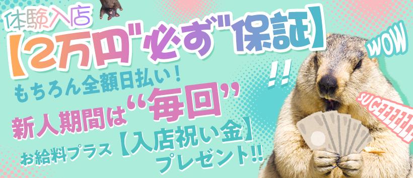 アニマルパラダイスの求人