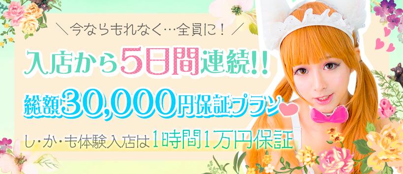 アニマルパラダイスの求人