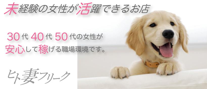 ヒト妻フリークの求人