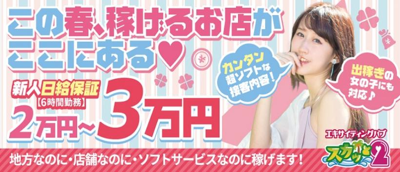 エキサイティング パブ スカッと2の求人