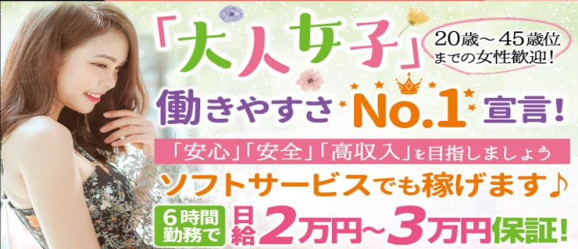 エキサイティング パブ スカッと2の求人