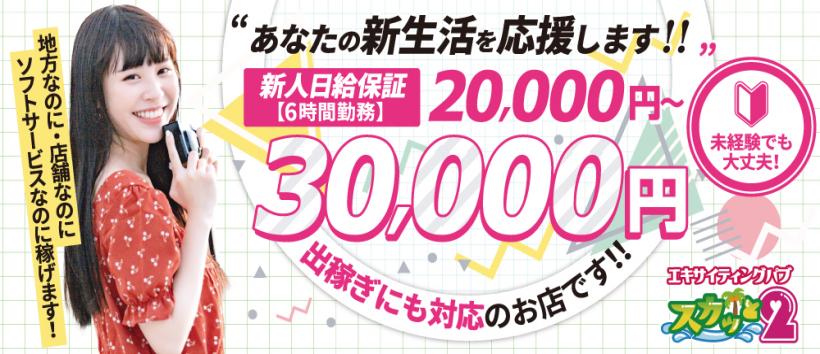 エキサイティング パブ スカッと2の求人