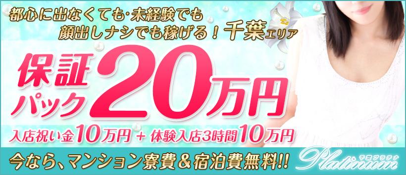 千葉プラチナの求人