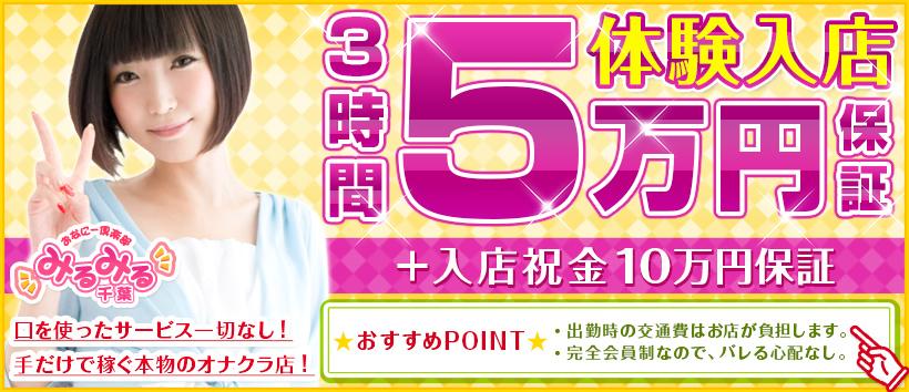 千葉みるみるの求人