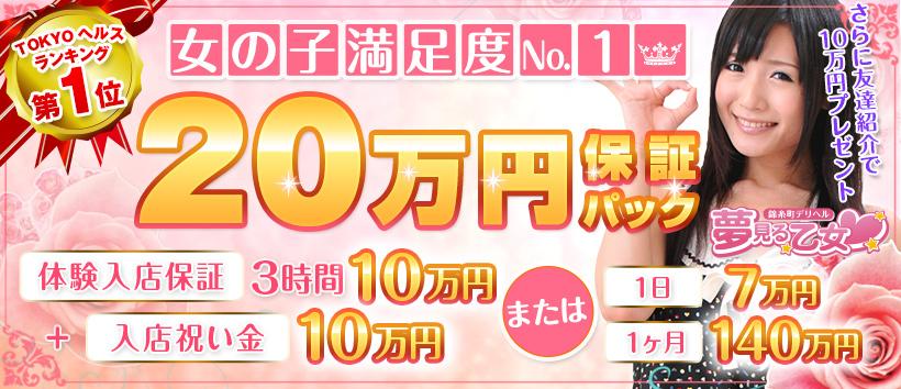 錦糸町夢見る乙女の求人