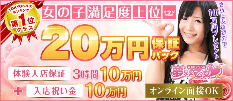 錦糸町夢見る乙女の求人