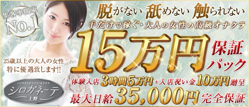 上野シロガネーテの求人