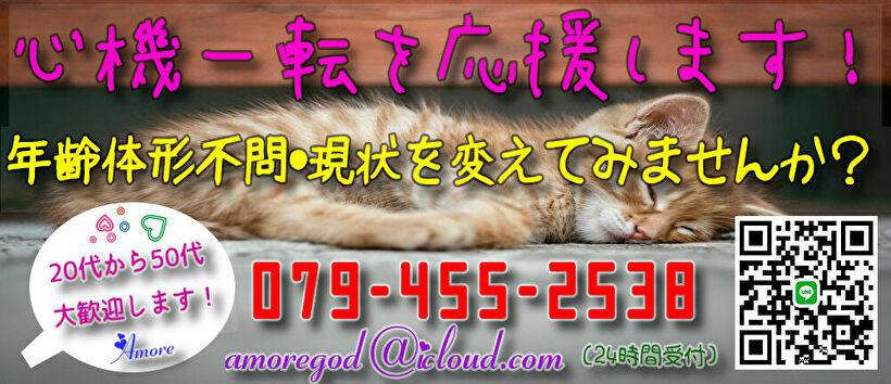 人妻専科 アモーレの求人