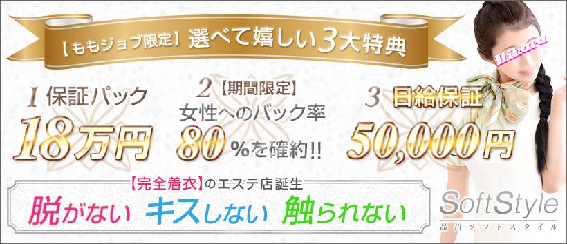 品川ソフトスタイルの求人