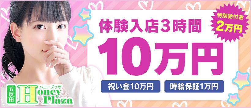 ハニープラザの求人