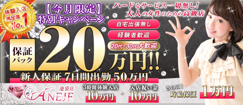 池袋アネージュの求人