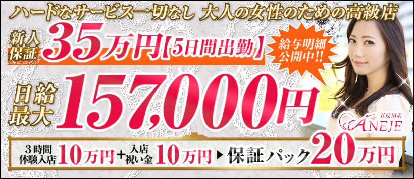 五反田アネージュの求人