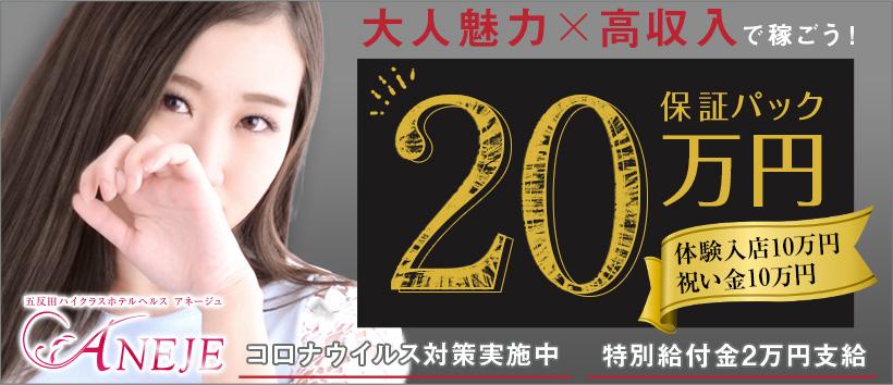 五反田アネージュの求人