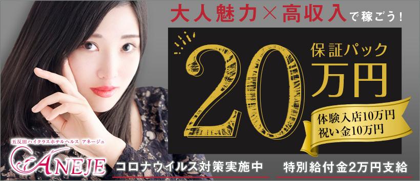 五反田アネージュの求人