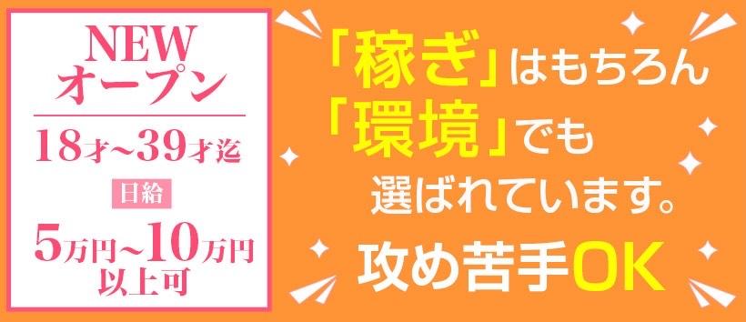横浜デビューの求人