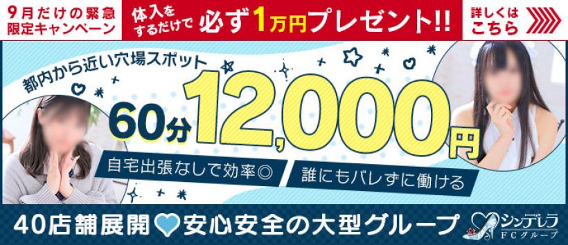 西川口コスプレメイド学園の求人