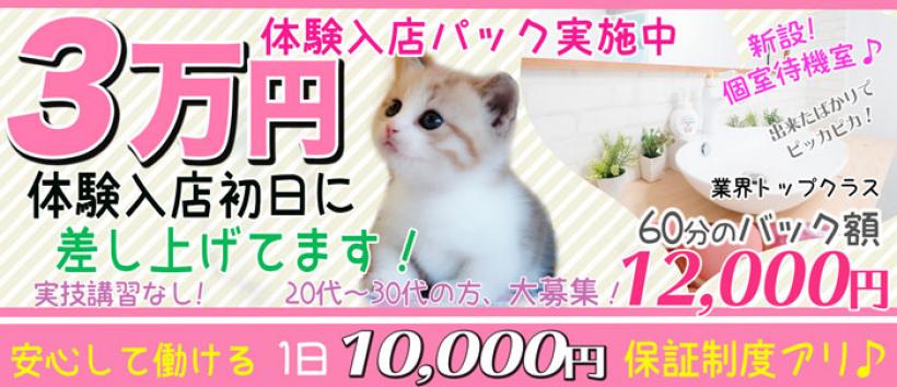 新妻物語の求人