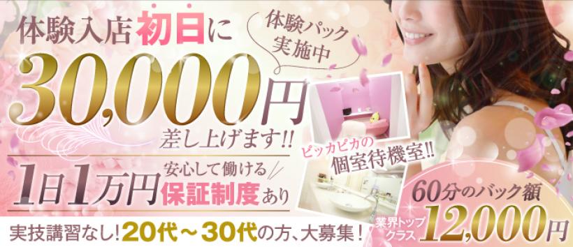 新妻物語の求人