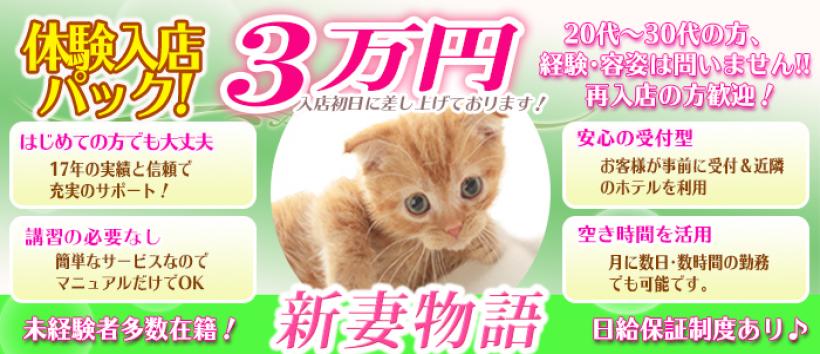 新妻物語の求人