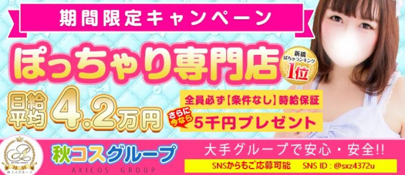 白いぽっちゃりさん新橋店の求人