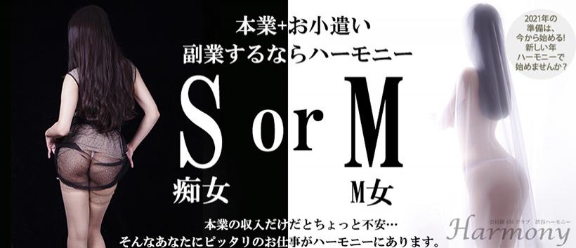 ハーモニーの求人