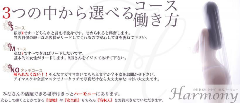 ハーモニーの求人