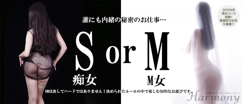ハーモニーの求人