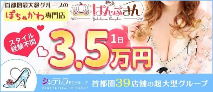 横浜ぱんぷきんの求人