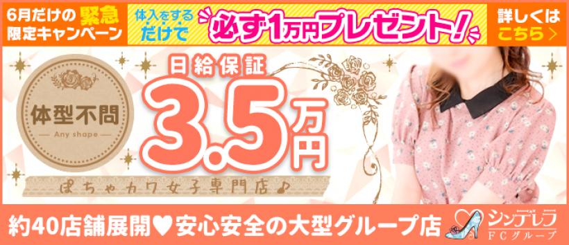 横浜ぱんぷきんの求人