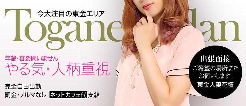 東金人妻花壇の求人