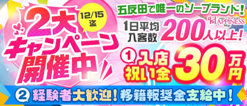 ハピネス東京の求人