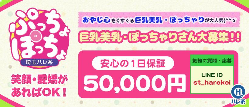 ぷっちょぽっちょ(埼玉ハレ系)の求人