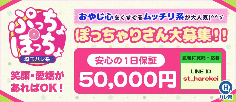 ぷっちょぽっちょ(埼玉ハレ系)の求人