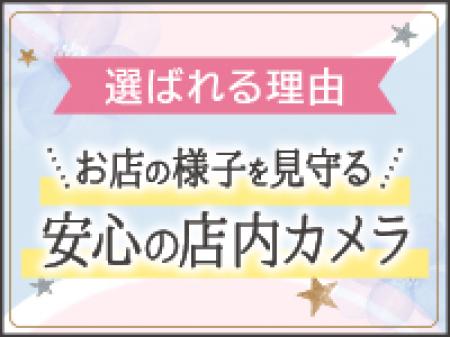 貴女の安全を脅かす刺客は見逃しません。