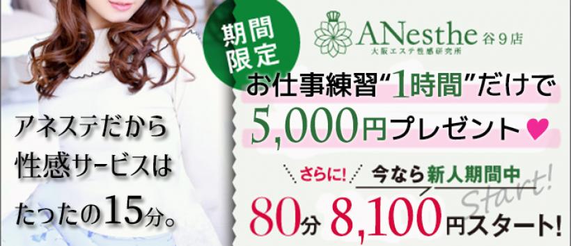 ANesthe(アネステ)谷9店の求人