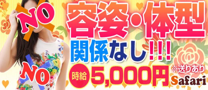 Night Parks Safariの求人