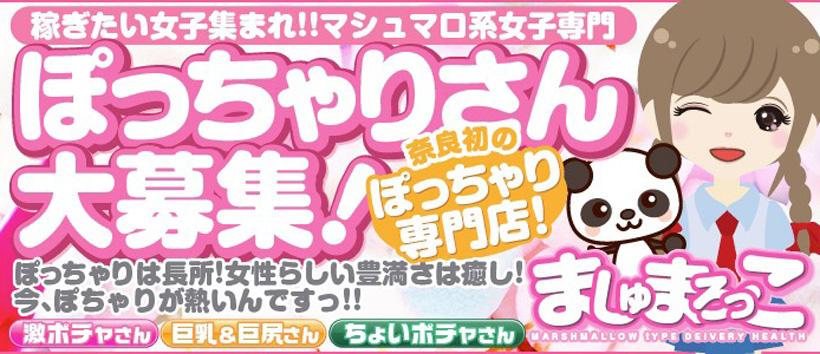 ましゅまろっこの求人