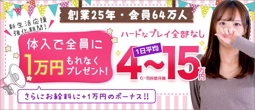 秋葉原LIPの求人