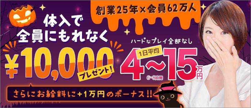 秋葉原LIPの求人